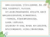 冀教版信息技术六上珍稀植物  (课件）