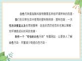 冀教版信息技术六上可怕的白色污染   （课件）