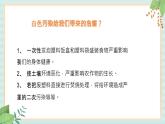 冀教版信息技术六上可怕的白色污染   （课件）