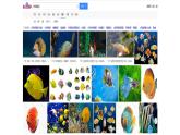 第二册（供四年级使用）信息技术课件-14 美妙的海洋世界 浙教版(共10张PPT)