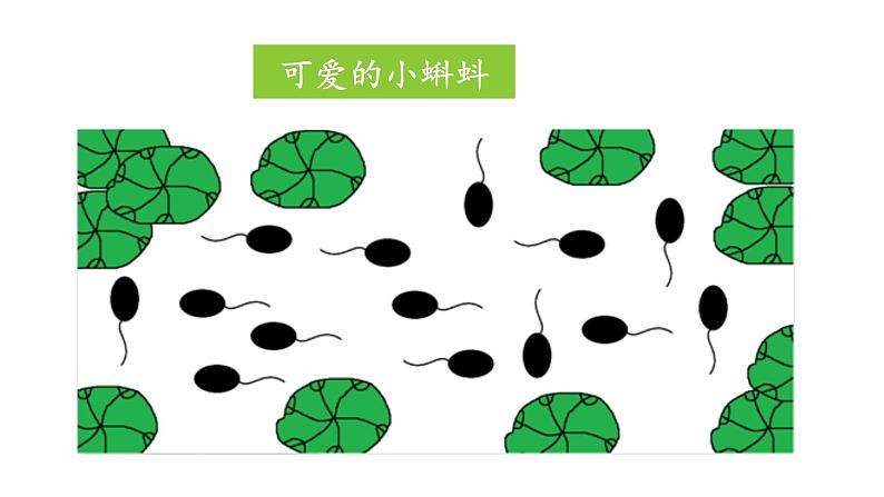 第一册（供三年级使用）信息技术课件-5 池塘里的小蝌蚪-“克隆”和“翻转”小蝌蚪 浙教版(共15张PPT)05