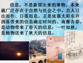 桂科版5上信息技术 1.1 感知丰富的信息现象 课件+教案