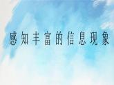 桂科版5上信息技术 1.1 感知丰富的信息现象 课件+教案