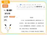 四上教科版信息技术 第6课 美化“翠湖观鸥”课件PPT+教案+练习