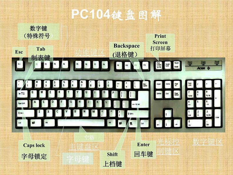 三年级上册信息技术课件－7认认真真学打字 十个手指键盘找家 ｜人教版  (共22张PPT)第2页