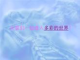 三年级上册信息技术课件－11色彩斑斓填图画 ｜人教版  (共10张PPT)
