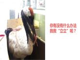 小學(xué) 粵教（B版）信息技術(shù) 六年級(jí) 第10課《走進(jìn)3D打印世界》—教學(xué) 課件