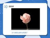 小學(xué) 粵教（B版）信息技術(shù) 六年級(jí) 神奇的變化——制作形狀補(bǔ)間動(dòng)畫(huà) 課件