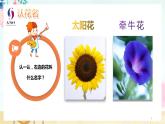 小学 粤教（B版）信息技术 六年级 第6课《五彩纷呈的花朵》—教学 课件