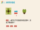 小学信息技术 粤教B版 五年级 漂亮的风车 教学课件