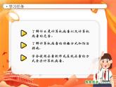 小学信息技术南方版五下 第8课 计算机信息的安全防护 PPT课件