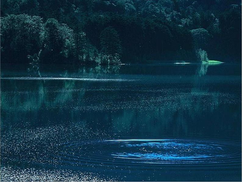 5 欣赏照片看成长 课件06