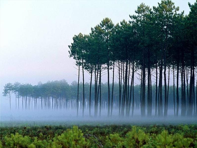 5 欣赏照片看成长 课件07