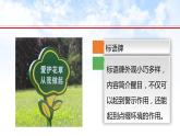 河南大学版信息技术三下 第9课 环保宣传大家来 课件