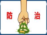 第3课 病毒危害早预防 课件