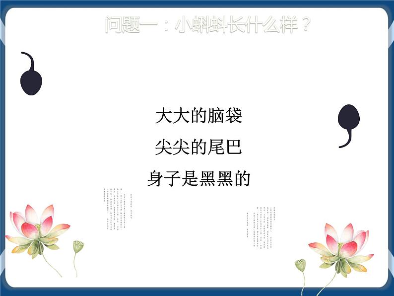 第5课 池塘里的小蝌蚪 课件+视频04