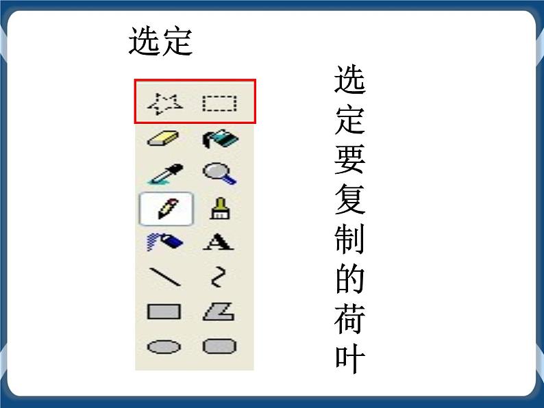 第5课 池塘里的小蝌蚪 课件+视频08