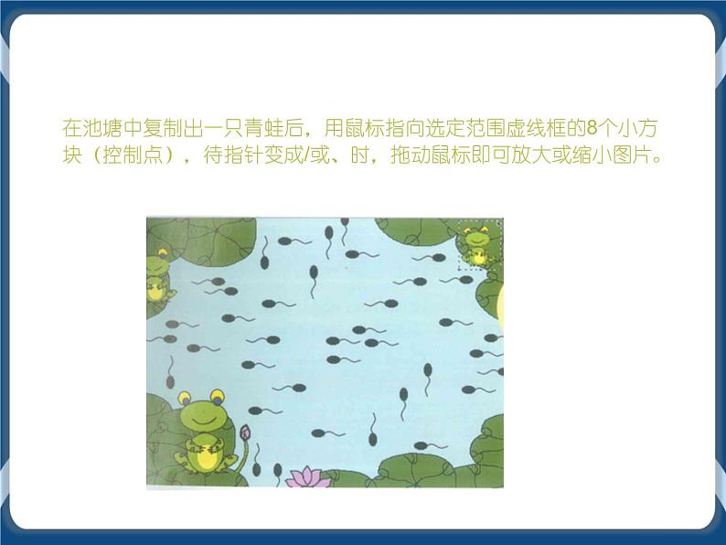 第6课 保护青蛙的宣传画 课件+视频05