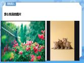 信息技术五下教科版  第7课 美丽的图片动起来 课件+教案+练习