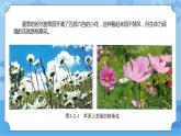 川教版信息技术四年级下册3.2《自制积木》 课件