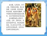 【课件】第4册（六年级）信息技术 16 神秘的神农架 冀教版