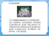 【课件】第4册（六年级）信息技术 19 可怕的白色污染 冀教版