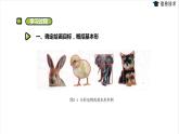 湘电子五年级信息技术上册 5《动物图画案——画图工具的使用》课件