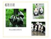 三年级上册信息技术课件 - 1.1.1熊猫欢欢游四川