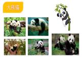 第2節(jié) 搜索并保存圖片課件PPT
