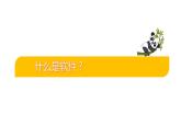 2.1 熊猫欢欢自画像课件PPT
