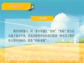 2.22 小小设计师课件PPT