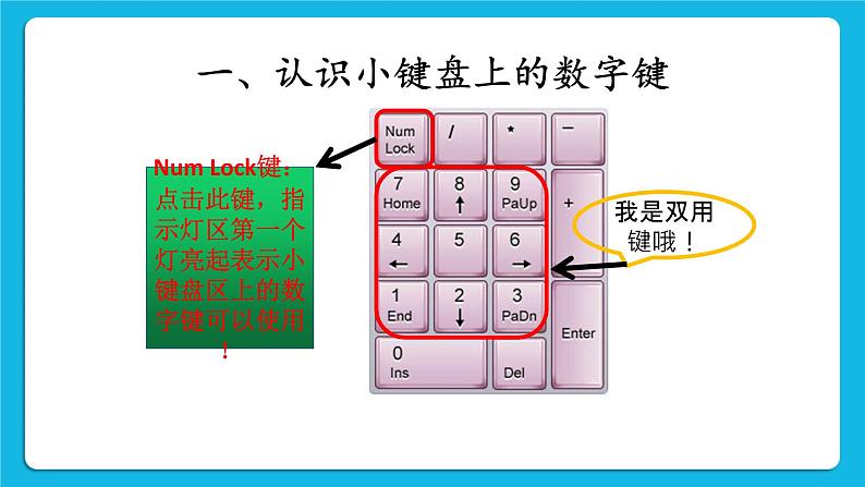 第2课 键盘中的数字 课件第2页