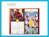 闽教版四年级下册信息技术《制作月历》课件