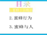 冀教版四年级下册信息技术 16.神秘的蜜蜂王国 PPT课件