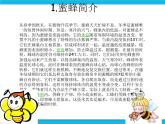 冀教版四年级下册信息技术 16.神秘的蜜蜂王国 PPT课件