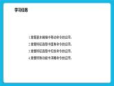 新闽教版信息技术 五年级下册 第6课《个性水杯展风采》课件PPT