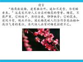 新世纪版信息技术三年级下册 2.3画梅花 PPT课件