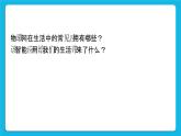 新苏科版信息技术六年级：第22课 设计物联网 课件PPT+视频