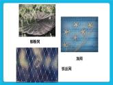 浙摄影版三年级下册信息技术第10课《认识网络》课件+教案+练习