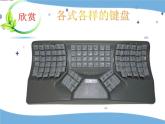 6认识键盘ppt课件