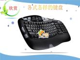 6认识键盘ppt课件