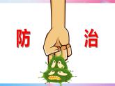 泰山版 四年级信息技术 3 病毒危害早预防 课件