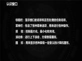 第4课 打开窗口看风景课件PPT
