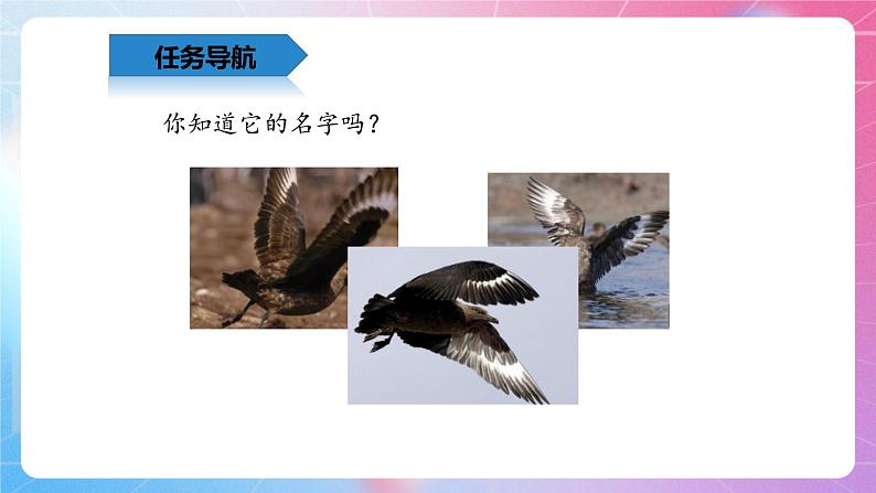 四年级上册信息技术课件-2.4收入囊中—图文资料的下载 清华大学版第2页