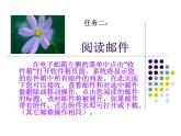 广西科教版五年级上 3.2使用我的电子邮箱PPT课件