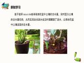 【闽教版】六年级下册信息技术  综合活动3 制作土壤水量检测   课件
