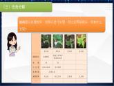川教版 四下信息技术   第一单元 第一节 处理照片（课件+教案）