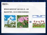 川教版 四下信息技术   第三单元第二节 自制积木（课件+教案）