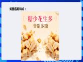 信息技术六下教科版 第1课 美食搜索计划 课件+教案+练习