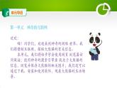 1.1網(wǎng)上探秘大熊貓課件（PPT）